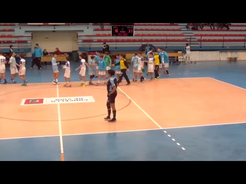 6NTV   IM  SEIS DO NADAL-CISNE(2)