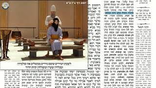 דף יומי מסכת שבועות דף כב Daf yomi Masechet Shevuot page 22  ע"י יוני גוטמן (שיעורי הדף היומי ב-20 דקות – מועבר ע"י ר' יוני גוטמן – לעילוי נשמת אביו ר' אלימלך צבי (צביקה) גוטמן ז"ל) - התמונה מוצגת ישירות מתוך אתר האינטרנט יוטיוב. זכויות היוצרים בתמונה שייכות ליוצרה. קישור קרדיט למקור התוכן נמצא בתוך דף הסרטון