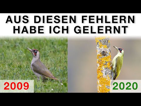 How has my photography improved? Development over the years & learning from mistakes