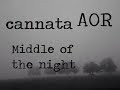 Cannata - Middle of the night X(sub letra español )