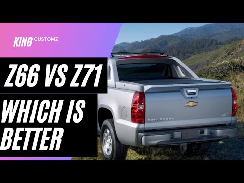 z66 vs z71: which has more advantage? 2/17/2021