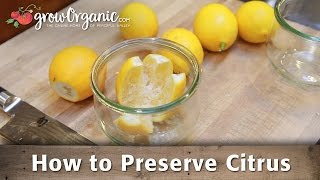 How To Preserve Citrus