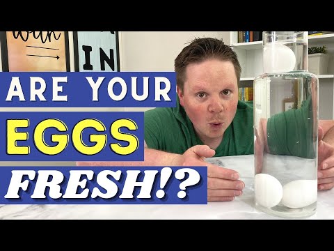 Egg Freshness Test In Water | How To Know If An Egg Is Fresh | Fresh Egg Life Hack