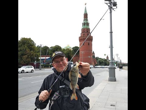 PGSS752MMSF 5-18 грамм