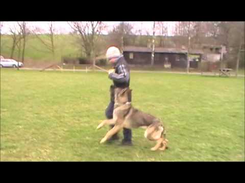 Berenica Greymary 1 year