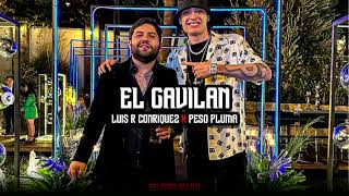 Luis R Conriquez, Tony Aguirre, Peso Pluma - El Gavilán