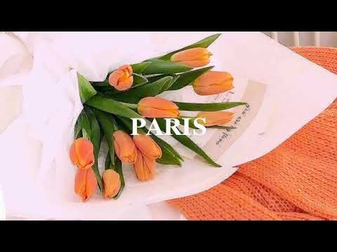 Ty Dollar Sign x 24 Hours/Melodic Trap Type Beat R&B Instrumental - PARIS (ft T.I )