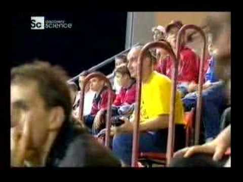 Meksykańska fala - jak to zrobić ?