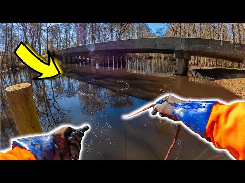 Magnet Fishing Under OLD SWAMPY Bridges (LOADED)
