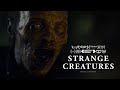 Strange Creatures | Short Film