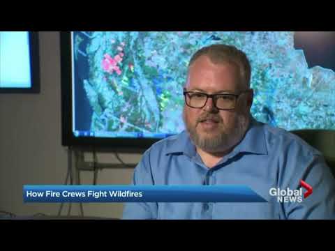 Ecological Disturbances