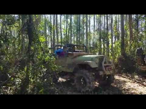 Trilha em lontras SC