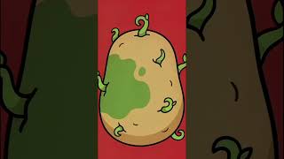 Essa Batata Verde Pode Te ENVENENAR