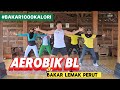 BL AEROBICS BURN 1000 CALORIES DESTROY BELLY FAT