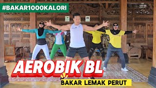 Download lagu BL AEROBICS BURN 1000 CALORIES, DESTROY BELLY FAT mp3