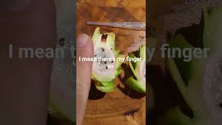 Brix Testing Tiny Connie Mayer Dragon Fruit