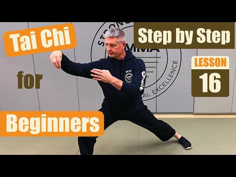 Tai Chi for Beginners~ Step by Step 16- Snake Creeps Down, Golden Rooster Stands on Left Leg