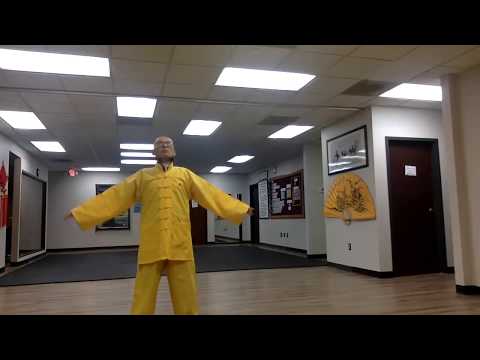 Immune System Series Zen Tai Gong April 25th Part 2 0425202002