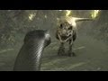 Titanoboa: Monster Snake - Titanoboa Vs. T-Rex ...