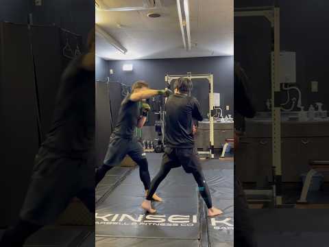 左フックへのカウンター#mma #格闘技 #rizin #ufc #キックボクシング #ボクシング #boxing #kickboxing #ムエタイ #総合格闘技 #合気道 #空手 #護身術