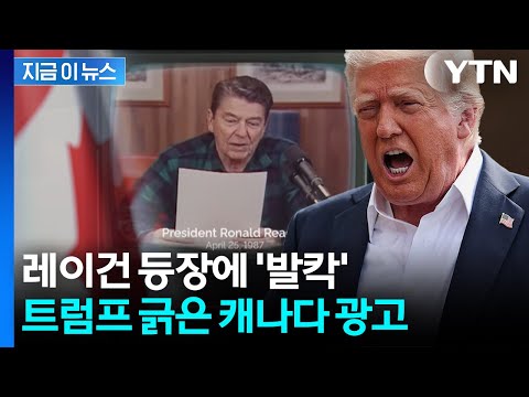 트럼프 대통령이 캐나다와의 무역협상을 중단한 이유