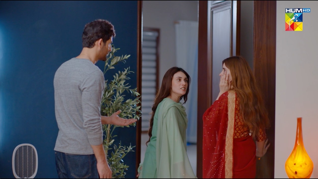 Ghatia Larki Ko Mara Zoor Ka Thappar...! Aye Dil Aazma Nahin - Hina Tariq - HUM TV