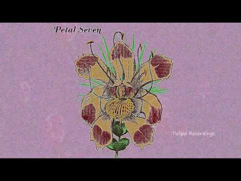 Kaiser Souzai - Flatlined (Original Mix) PETAL SEVEN