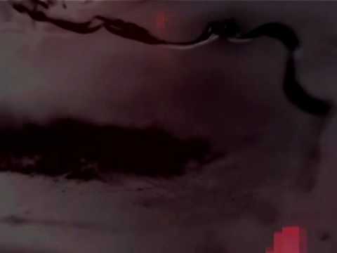 Excruciate- Rose Red Flechette