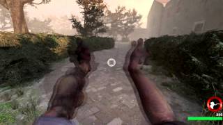 Left 4 Dead 2 - Unused beta animations