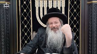 הרה"ג ר' שמעון שנייבלג שליט”א | דבר חינוך אקטואלי מהפרשה | פרשת שופטים | עברית