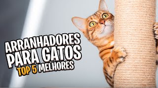 Top 5 ARRANHADORES que seu gato VAI AMAR! Melhores de 2024! ?