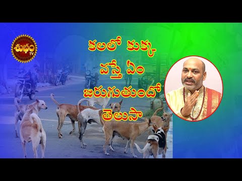 Kalalo Kukka Kanipiste | Dream Of Dog | Nidralo Kukka Kanipiste | Kukka Kalalo Vaste | కలలో కుక్క