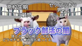 ブラック部活の闇　#catmemes #猫マニ #猫ミーム
