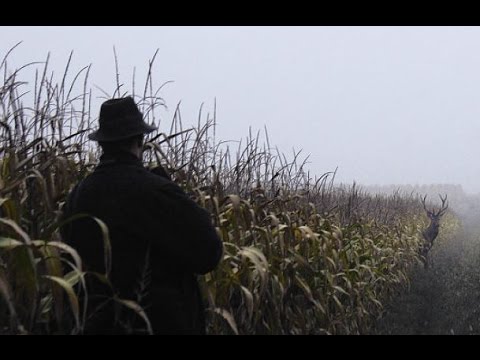 Rotwild ansprechen (WILD UND HUND-aktiv)