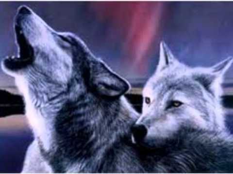 Video thumbnail for Reno And Me