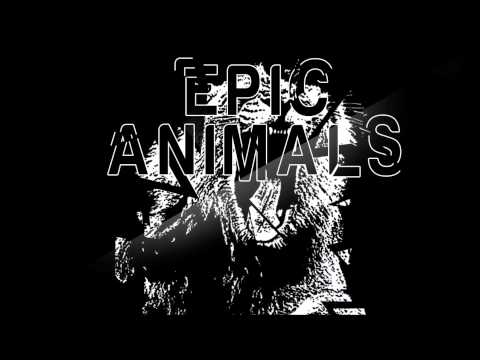 Sandro Silva & Quintino - EpicAnimals - Martin Garrix (TrapMashUp)