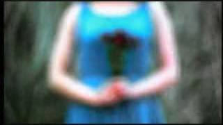 Treble Charger - Red (Original Video)