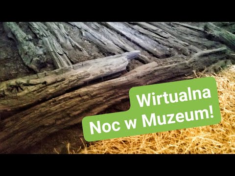 Wirtualna Noc w Muzeum