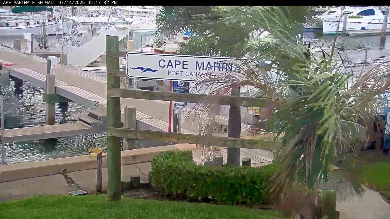 Live webcam view of Cape Marina Fish Wall