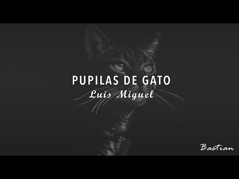 Luis Miguel - Pupilas De Gato