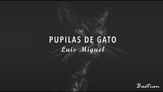 Luis Miguel - Pupilas De Gato (Letra) ♡
