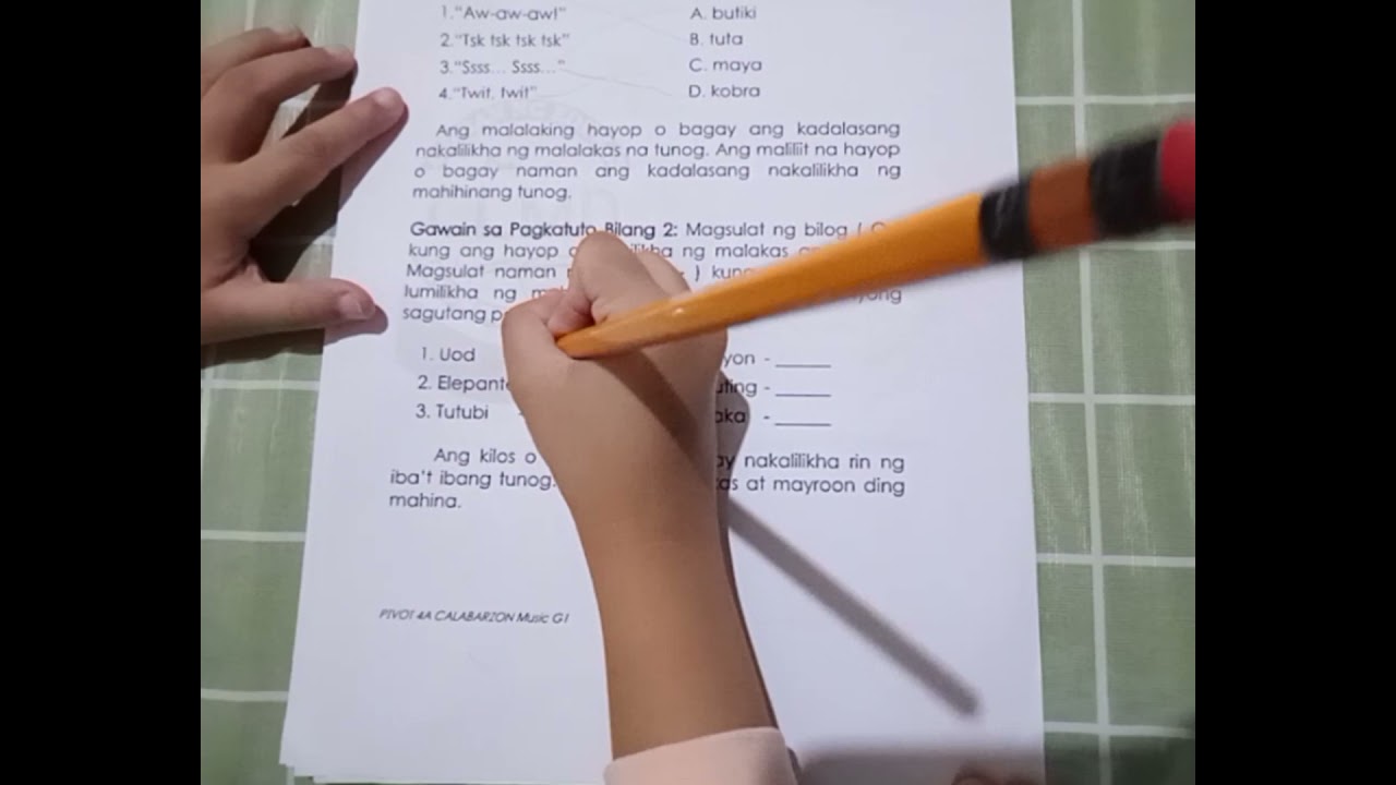Putar video MGA HAYOP NA LUMIKHA NG MALAKAS AT MAHINANG TUNOG ⭕ kung malakas ⛔ kung mahina Music1 Q3 sekarang MGA HAYOP NA LUMIKHA NG MALAKAS AT MAHINANG TUNOG ⭕ kung malakas ⛔ kung mahina Music1 Q3