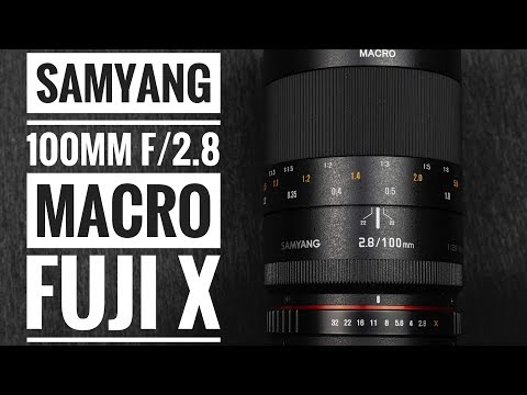 Video thumbnail for Video Review 3