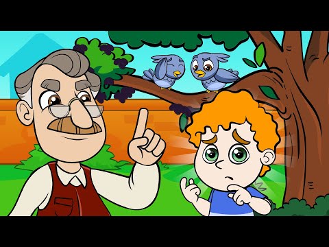 Música Infantil: João, não come o que cai no chão!