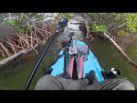 Florida Keys Kayak Fishing | Exploring Secret Mangrove Tunnels With Ultralight Tackle