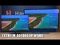 Extreem goedkope WQHD monitoren van Philips en AOC