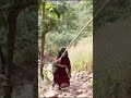 Tamil Serial Actress Neelima Rani Hot Open Chubby Navel Neelimarani Navel Serial