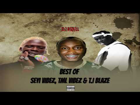 BEST OF TML VIBEZ & SEYI VIBEZ & T.I BLAZE MIX | CHILDREN OF AFRICA | PAWON BOY | SHAKUR |