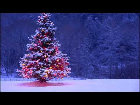 Aurelia Lusnia, Narodziny