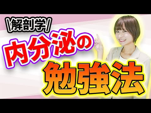 医学科 【医学生へ】イメージの湧きにくい内分泌について(内分泌,内分泌系,ホルモン,神経,神経系)